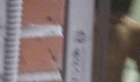 Casalinga succhia film gratis sexy e telefoni