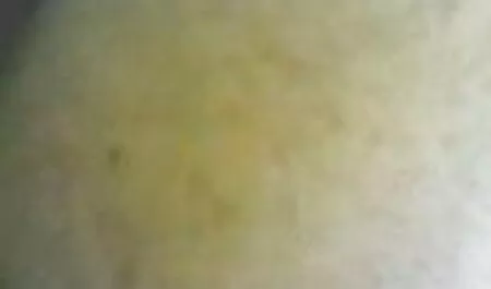 Un donne video sex uomo d'affari torna a casa e aggiunge un grosso log In мохнатку procace Negro
