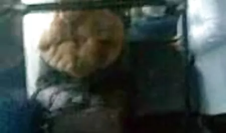 Maturo film amatoriali sex brunetta in un sexy vestito made su e sat giù su Pompino Cazzo